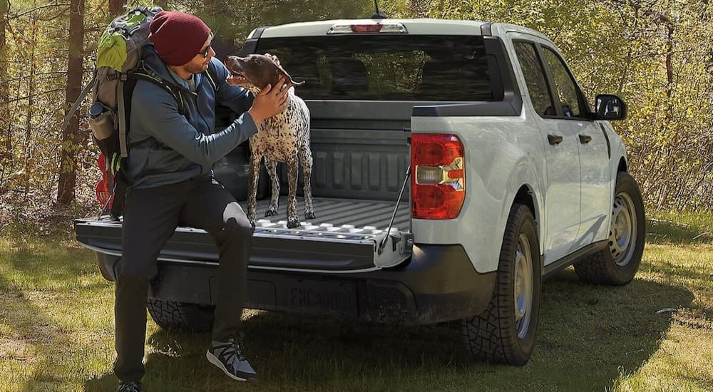 A person and dog are shown sitting on the tailgate of a gray 2024 Ford Maverick.