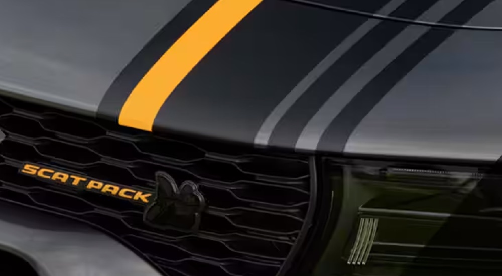 A close-up of the Scat Pack badge and racing stripes on a 2024 Dodge Charger Scat Pack.