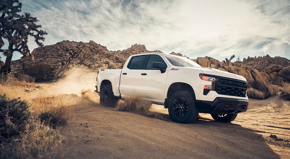 A white 2024 Chevy Silverado 1500 Custom Z71 Trail Boss is shown from the side.