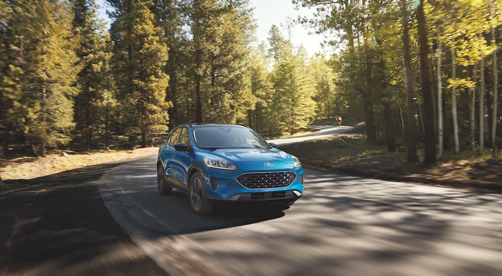 A blue 2022 Ford Escape is shown from the front at an angle.