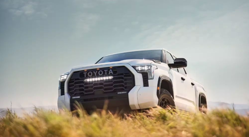 A white 2024 Toyota Tundra TRD Pro parked off-road in a grassy field.