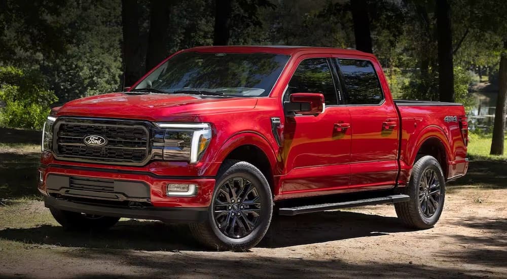 A red 2024 Ford F-150 XLT parked off-road and angled left.